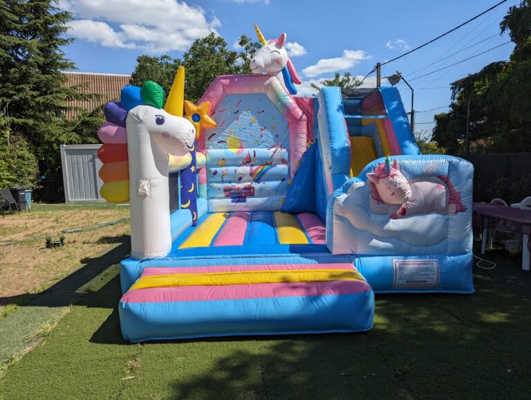 PXL_20240615_132907718-1