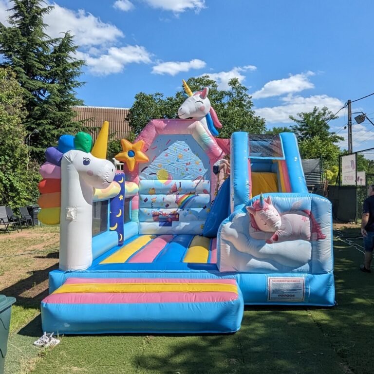 PXL_20240615_133202528